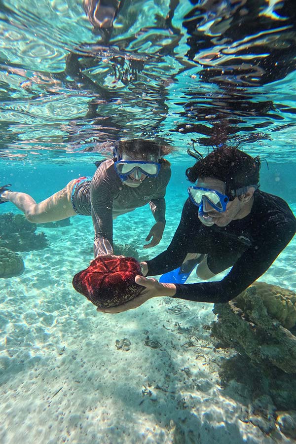 Moorea snorkel tour windstar cruises