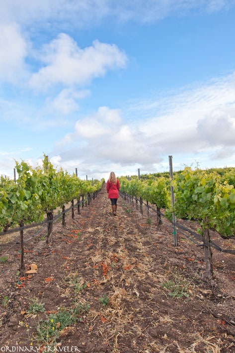 Wine Tasting Arroyo Grande Letitia Vineyards