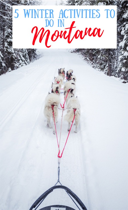 5 Ways to Connect With Nature in Montana This Winter