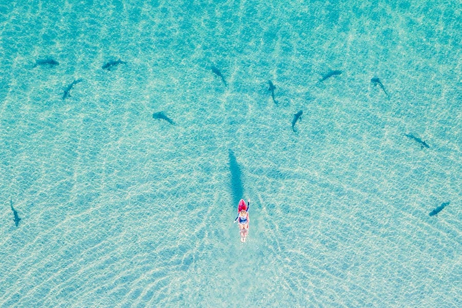 Why Feeling Unsafe Makes It Impossible To Live Joyfully