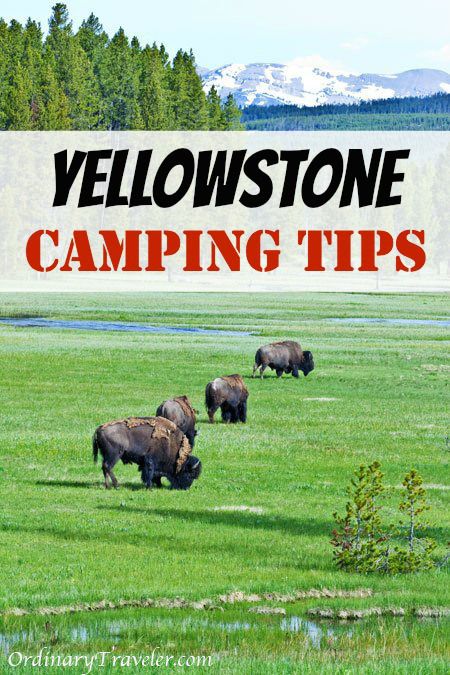 Everything You Need to Know for Camping in Yellowstone National Park