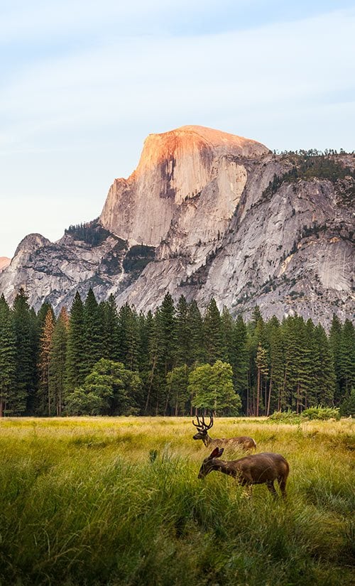 The Best Photography Locations in California
